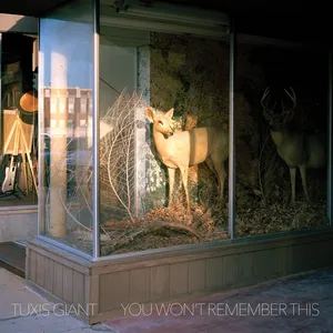 You won't remember this